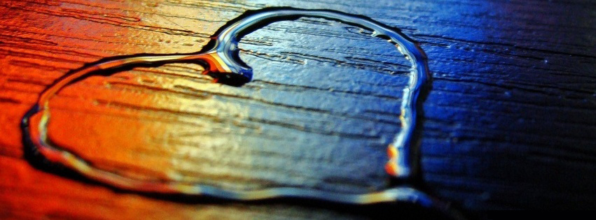 Vanessa_Cardui 🌈 OnlyFans header