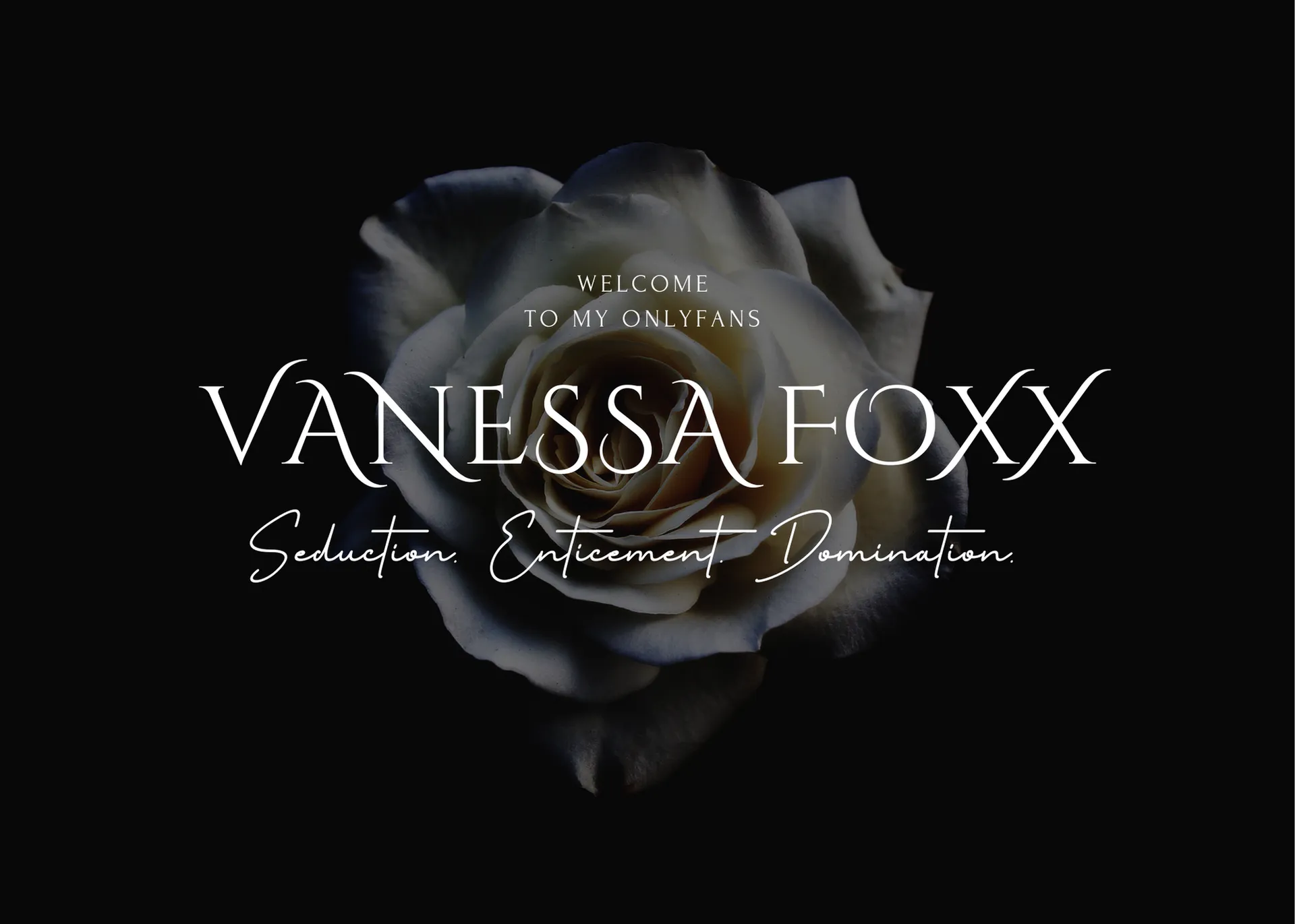 𝓥𝓪𝓷𝓮𝓼𝓼𝓪 𝓕𝓸𝔁𝔁 OnlyFans header