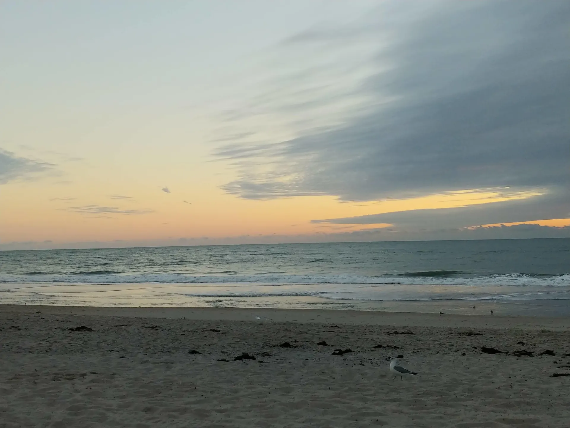 Vanessa OnlyFans header