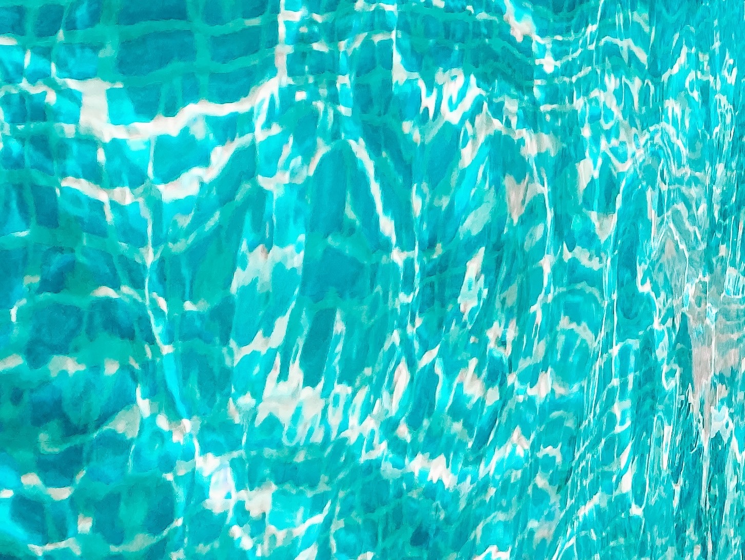 Vanessa OnlyFans header