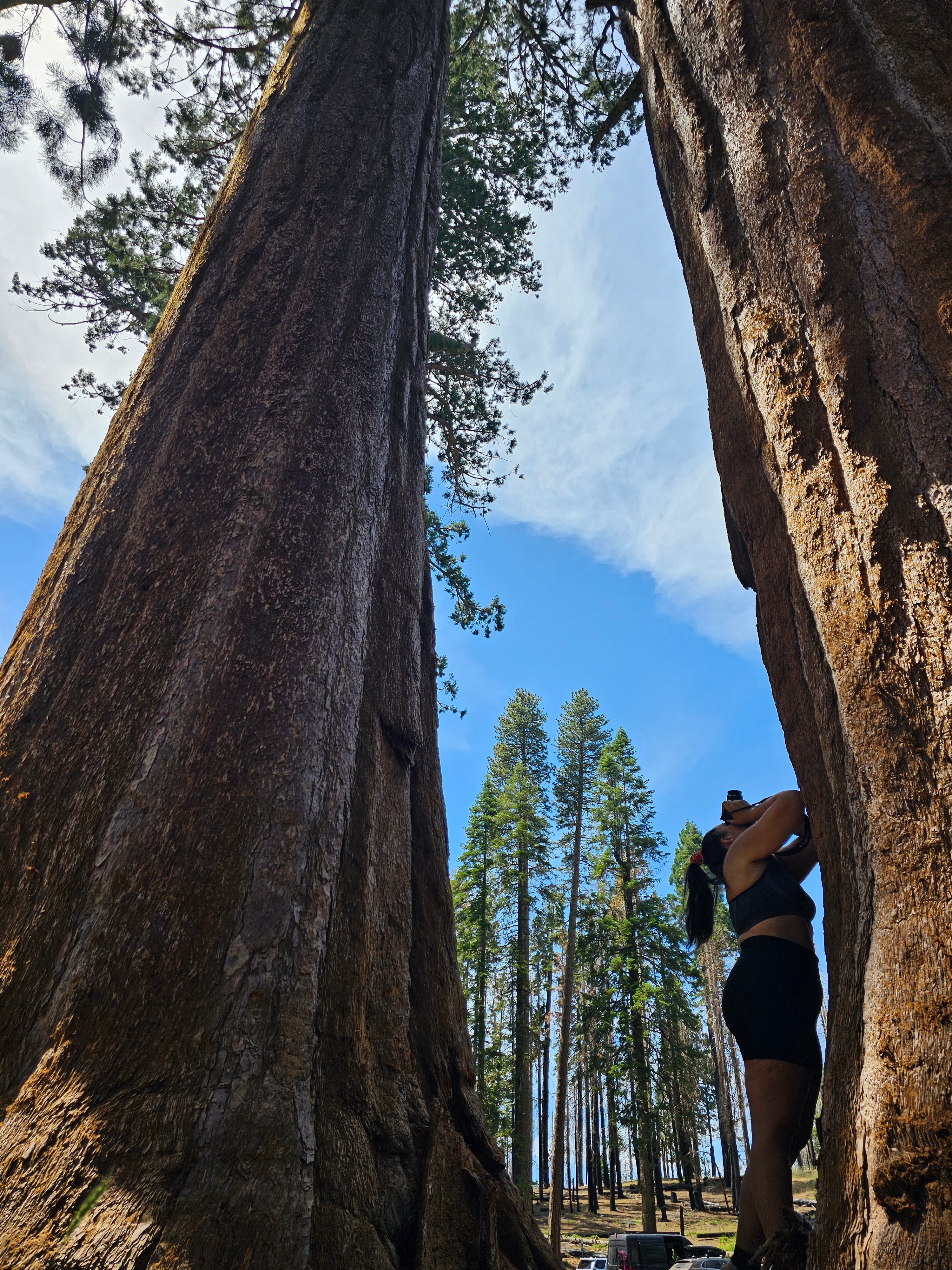 vanessa OnlyFans header