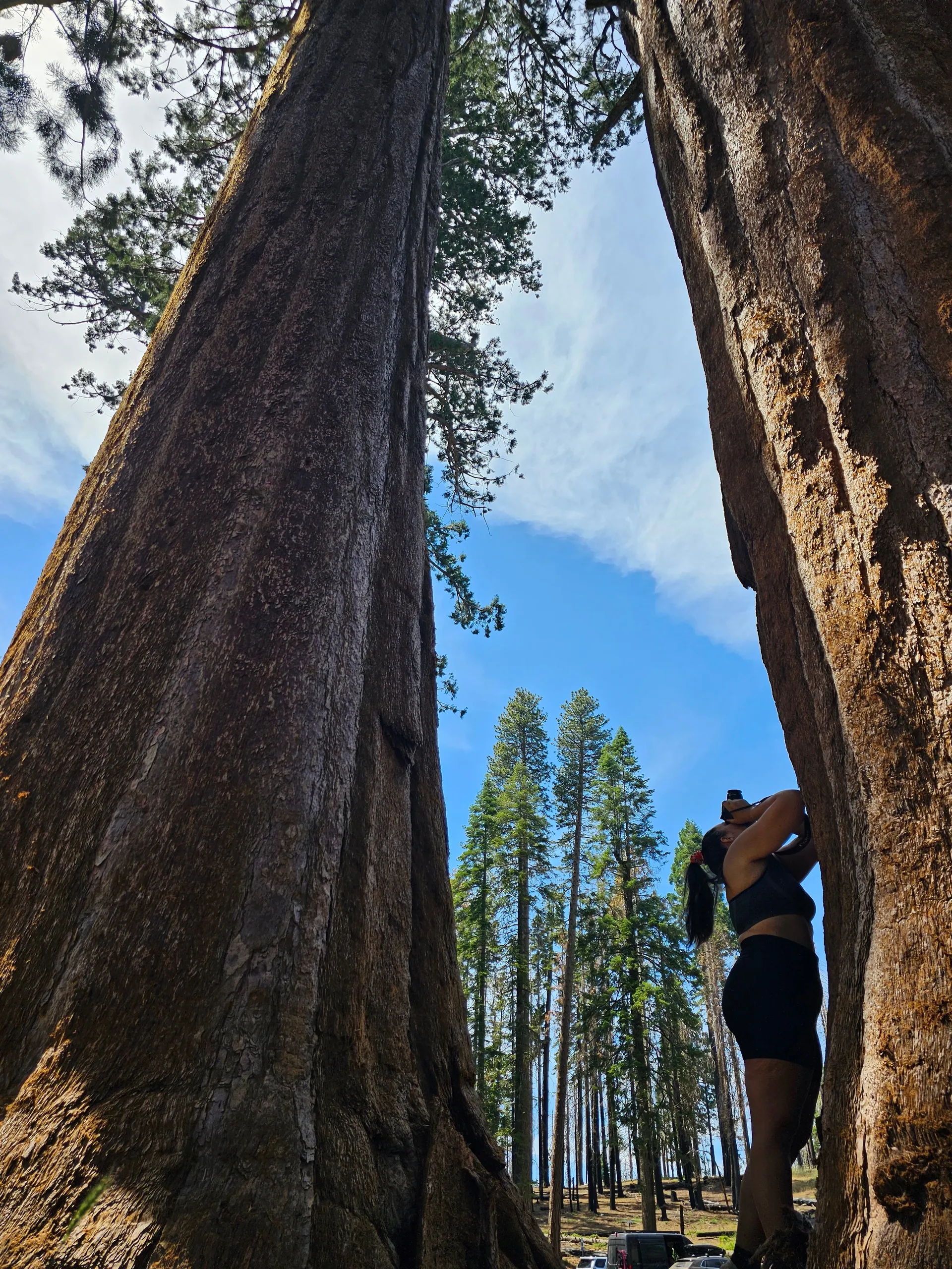 vanessa OnlyFans header