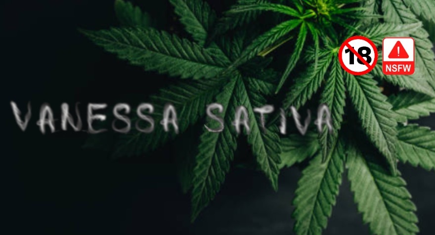 𝓥𝓪𝓷𝓮𝓼𝓼𝓪🍃 OnlyFans header