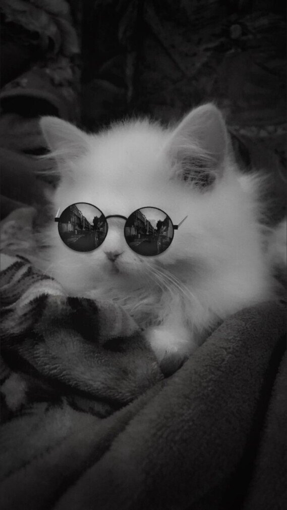 Vanessa Ven OnlyFans