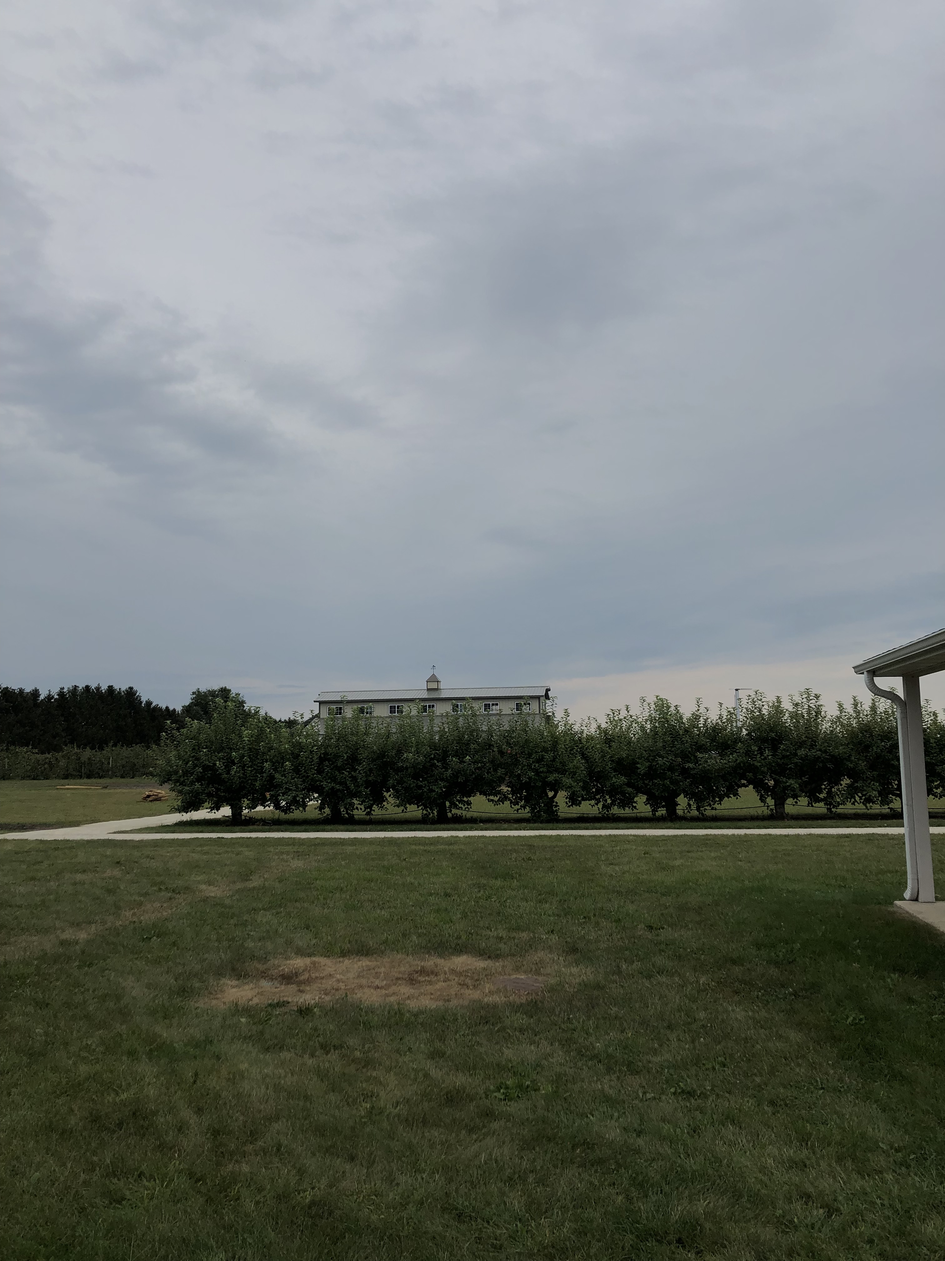 Vanessa OnlyFans header