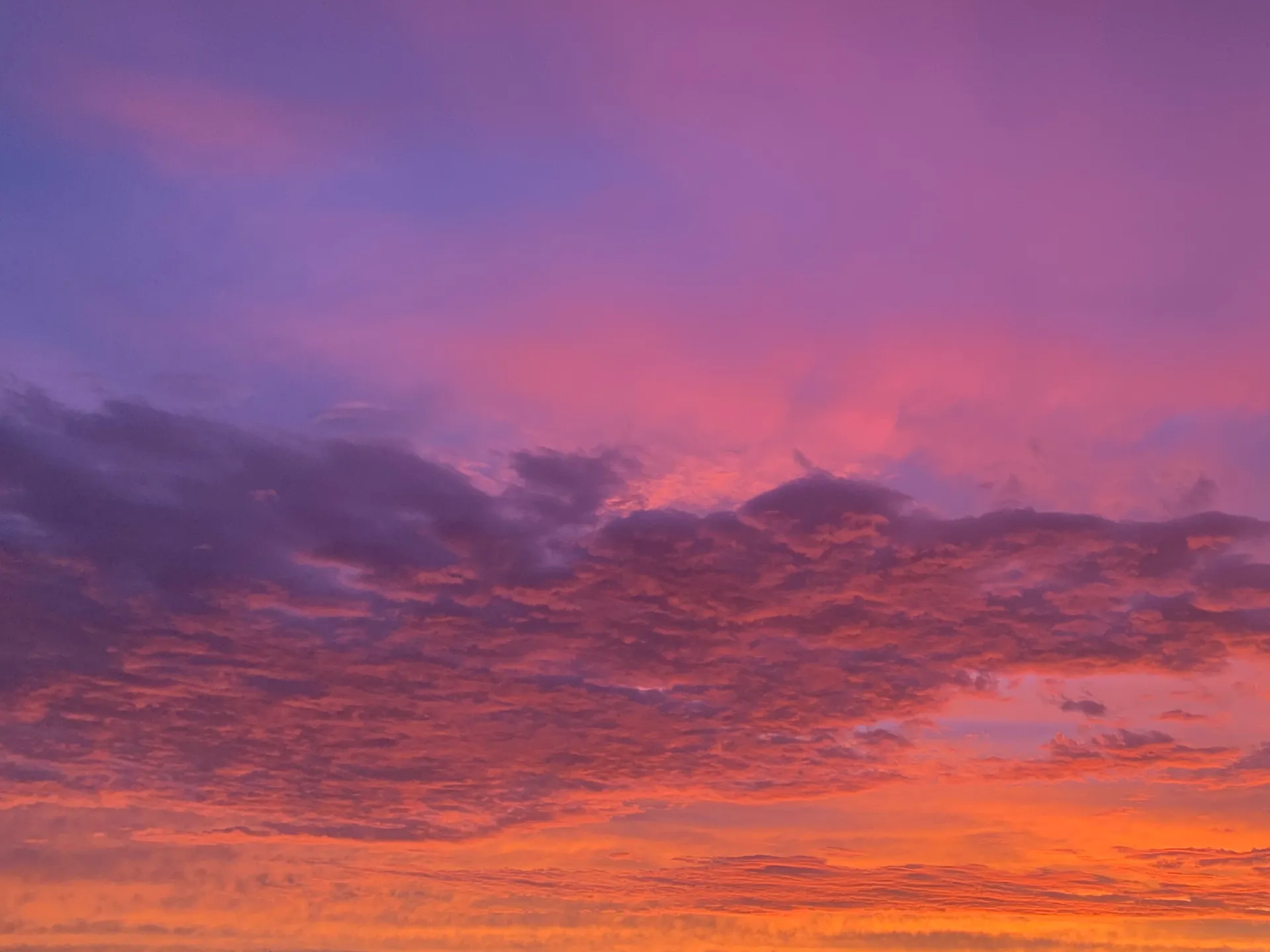 Vanilla Fueg-ho OnlyFans header