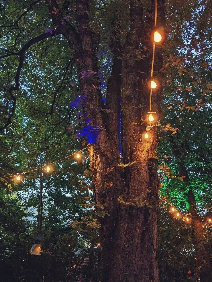 Van Berry OnlyFans header