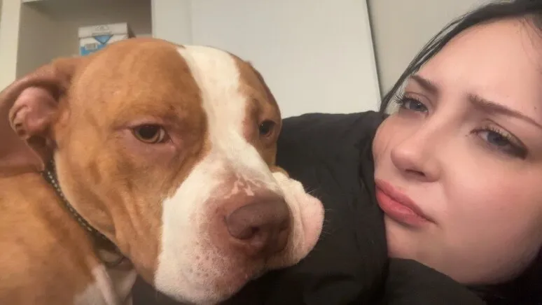 Barbie boo OnlyFans header