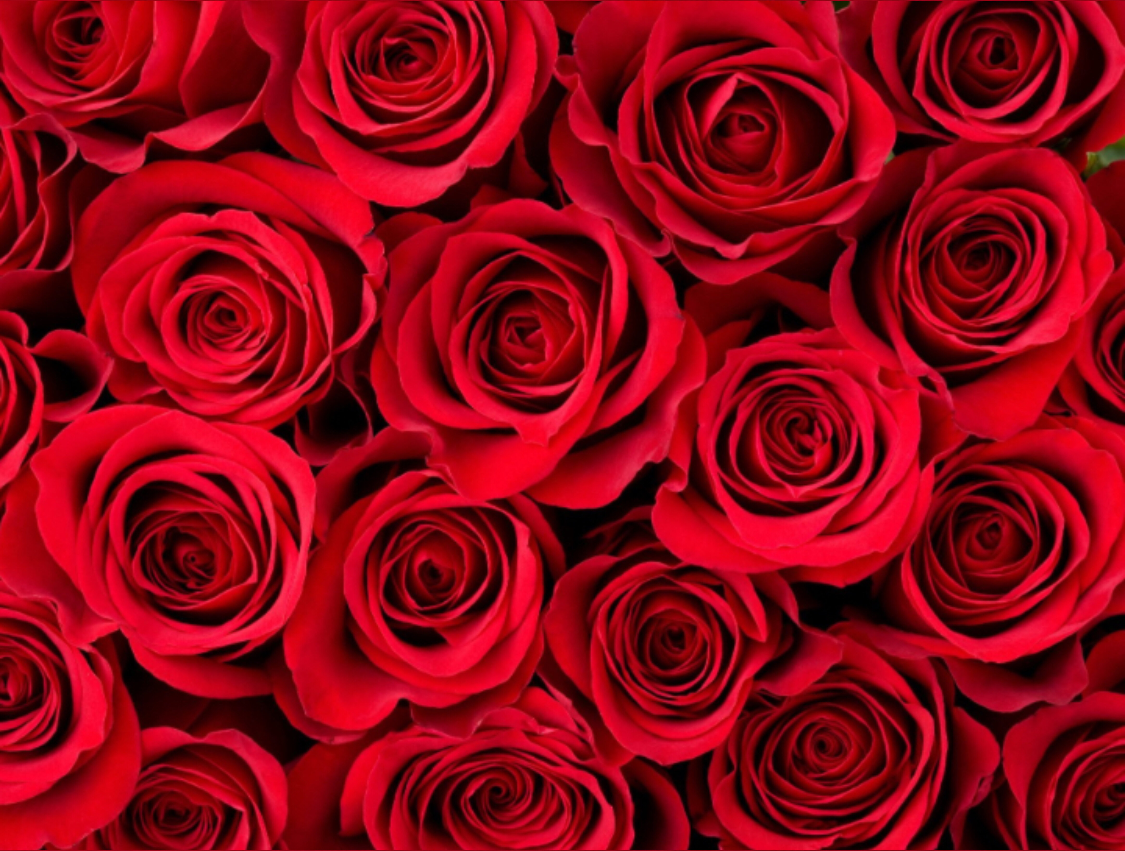 Vanillacremedreamm OnlyFans header