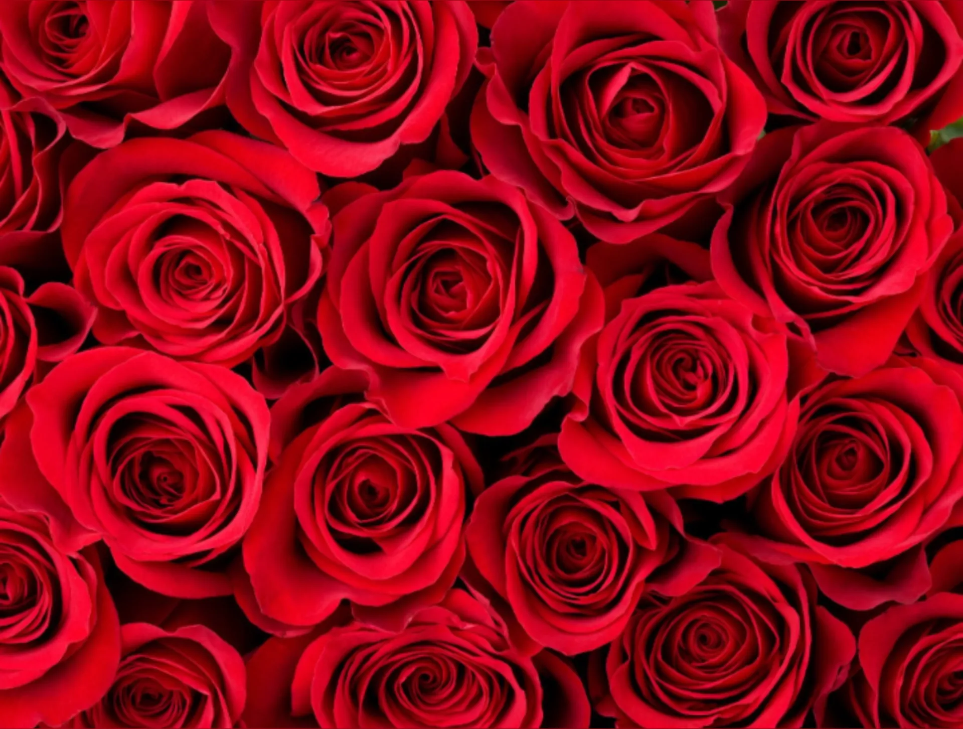 Vanillacremedreamm OnlyFans header