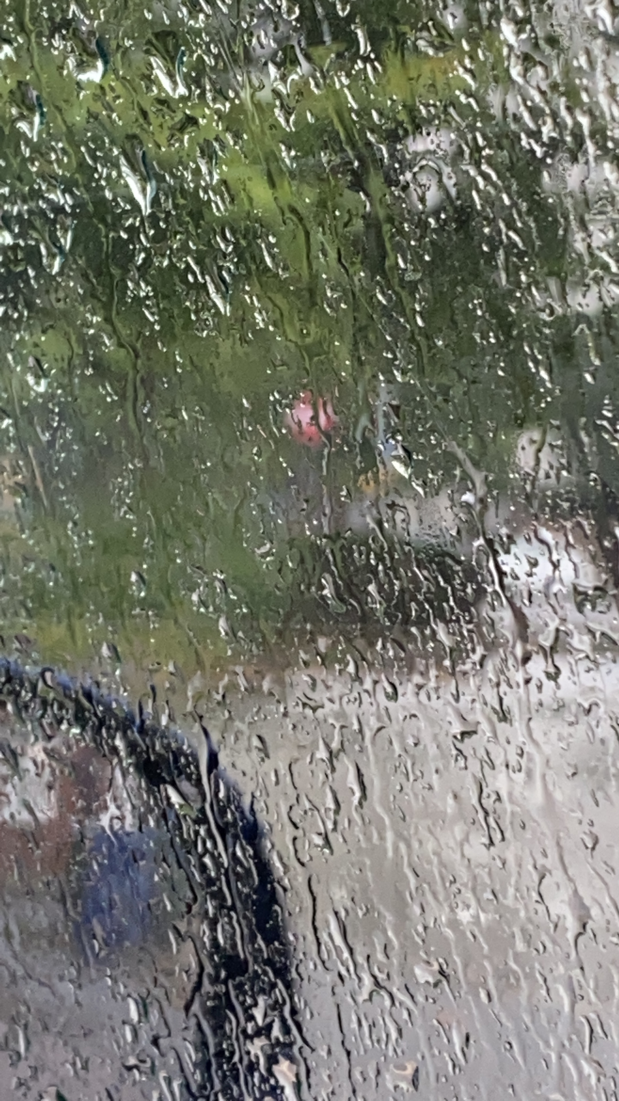 M&amp;C OnlyFans header