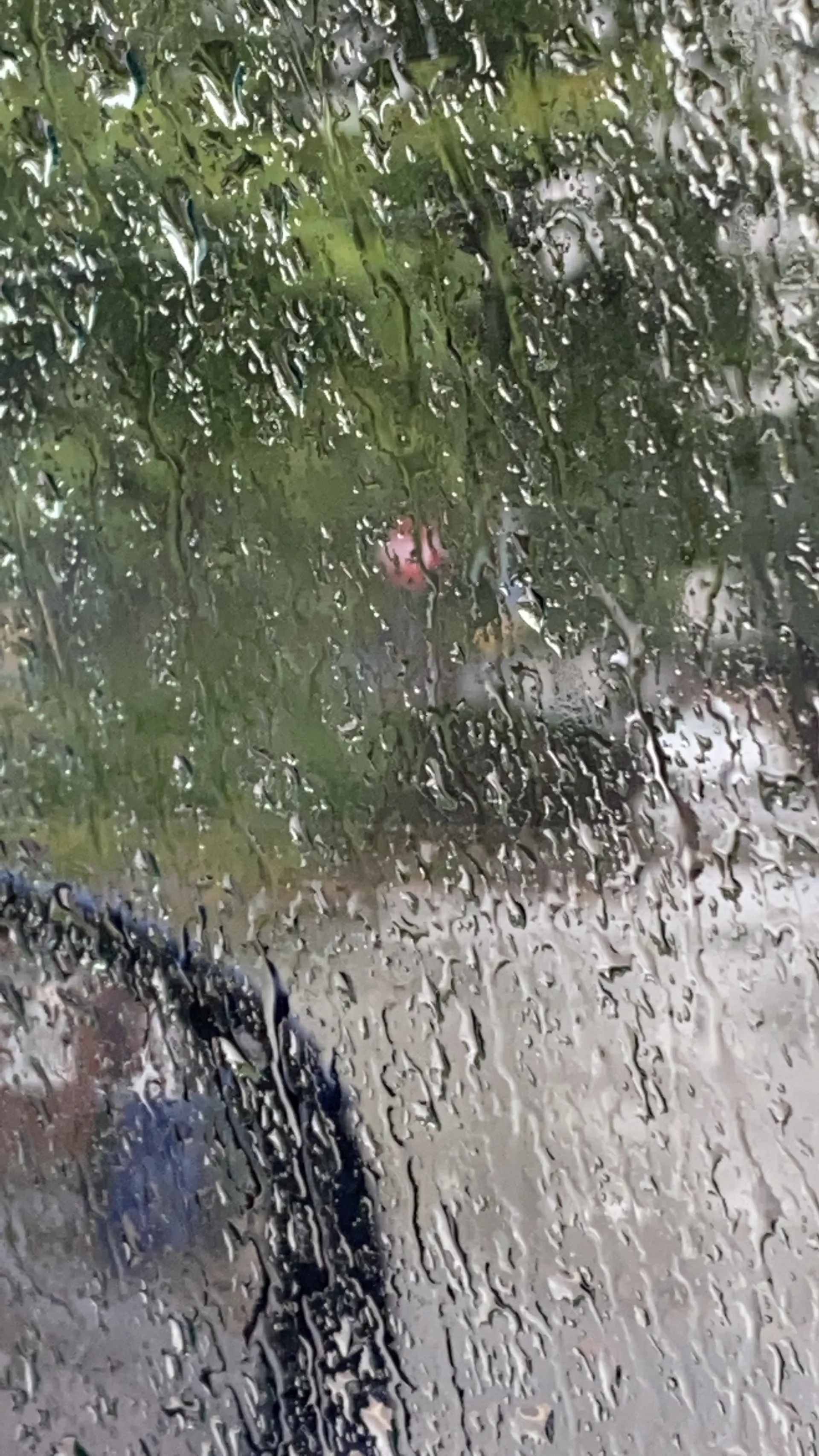 M&amp;C OnlyFans header