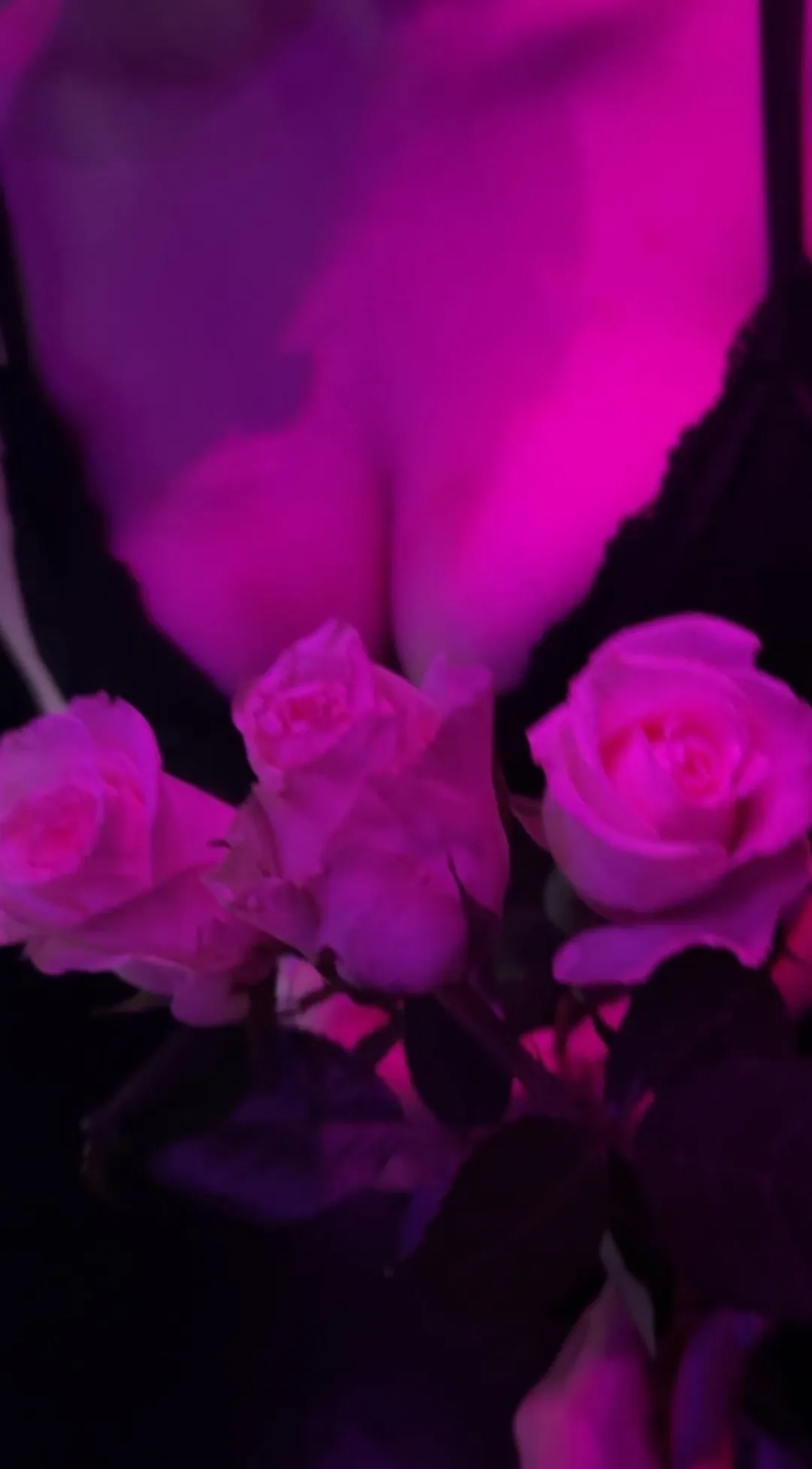 Vanessa OnlyFans header