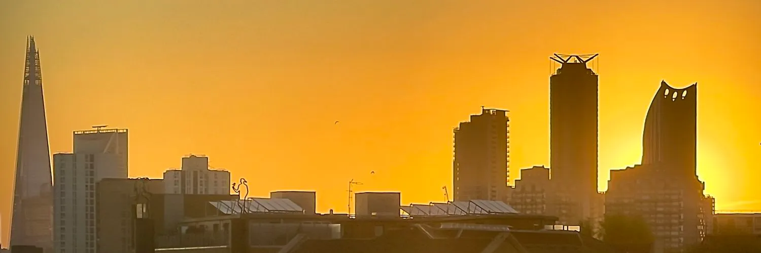 Vanitas ᴸᴰᴺ OnlyFans header