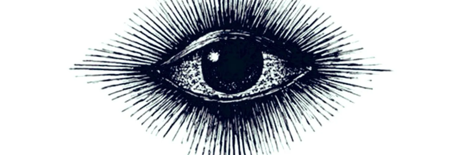 VixenDaVerse ↕️ OnlyFans header