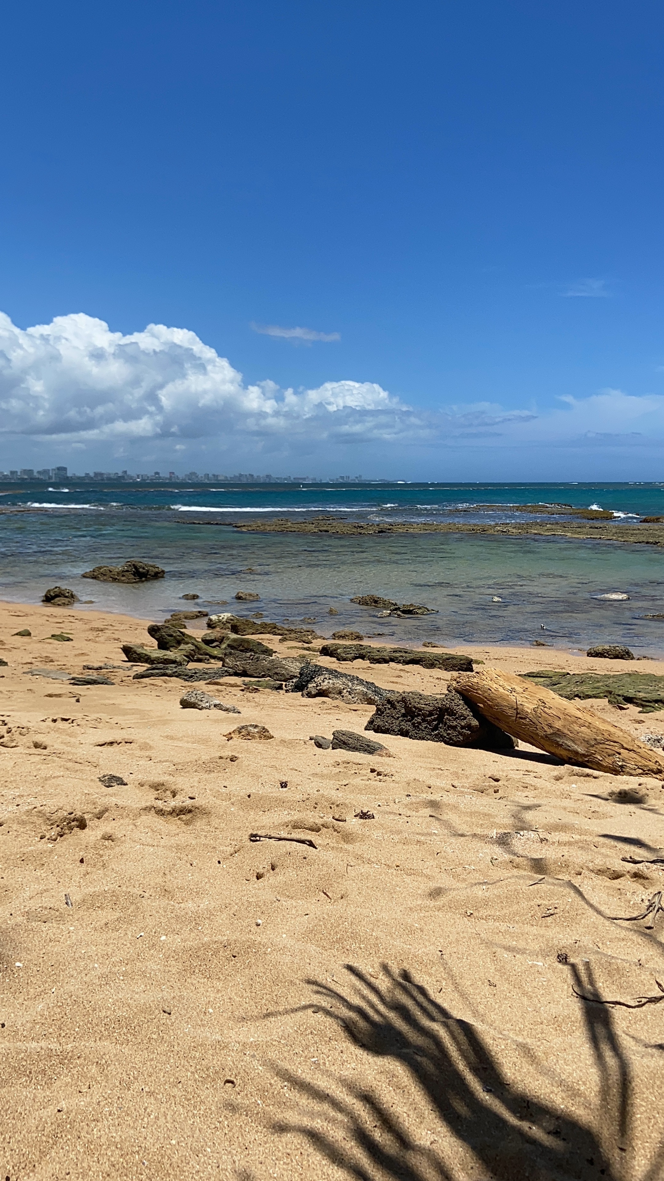 Vanity OnlyFans header