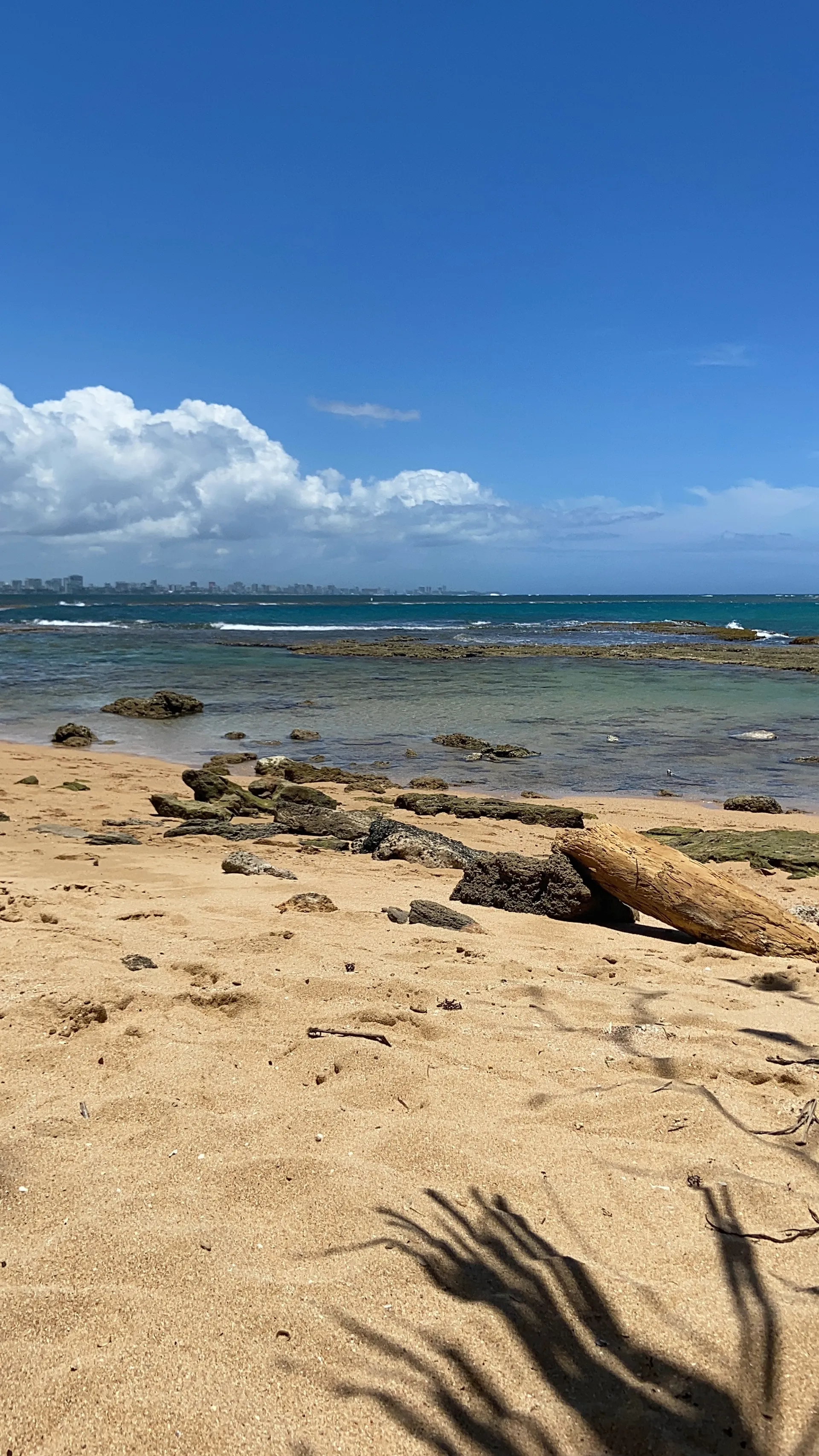 Vanity OnlyFans header