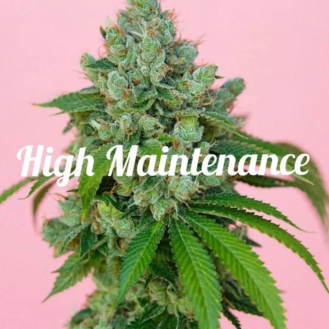 Princess Vannah 🍒 OnlyFans header