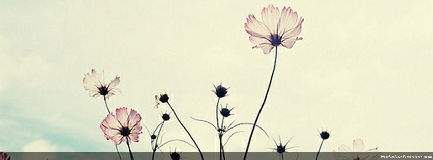 Vania OnlyFans header