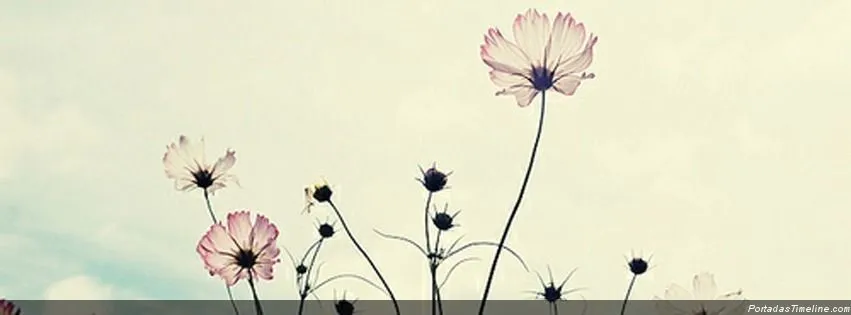 Vania OnlyFans header