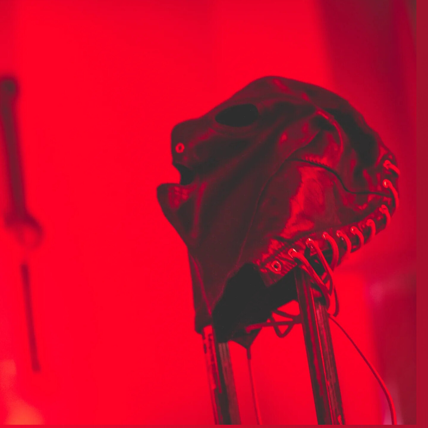 VOAYER OnlyFans header