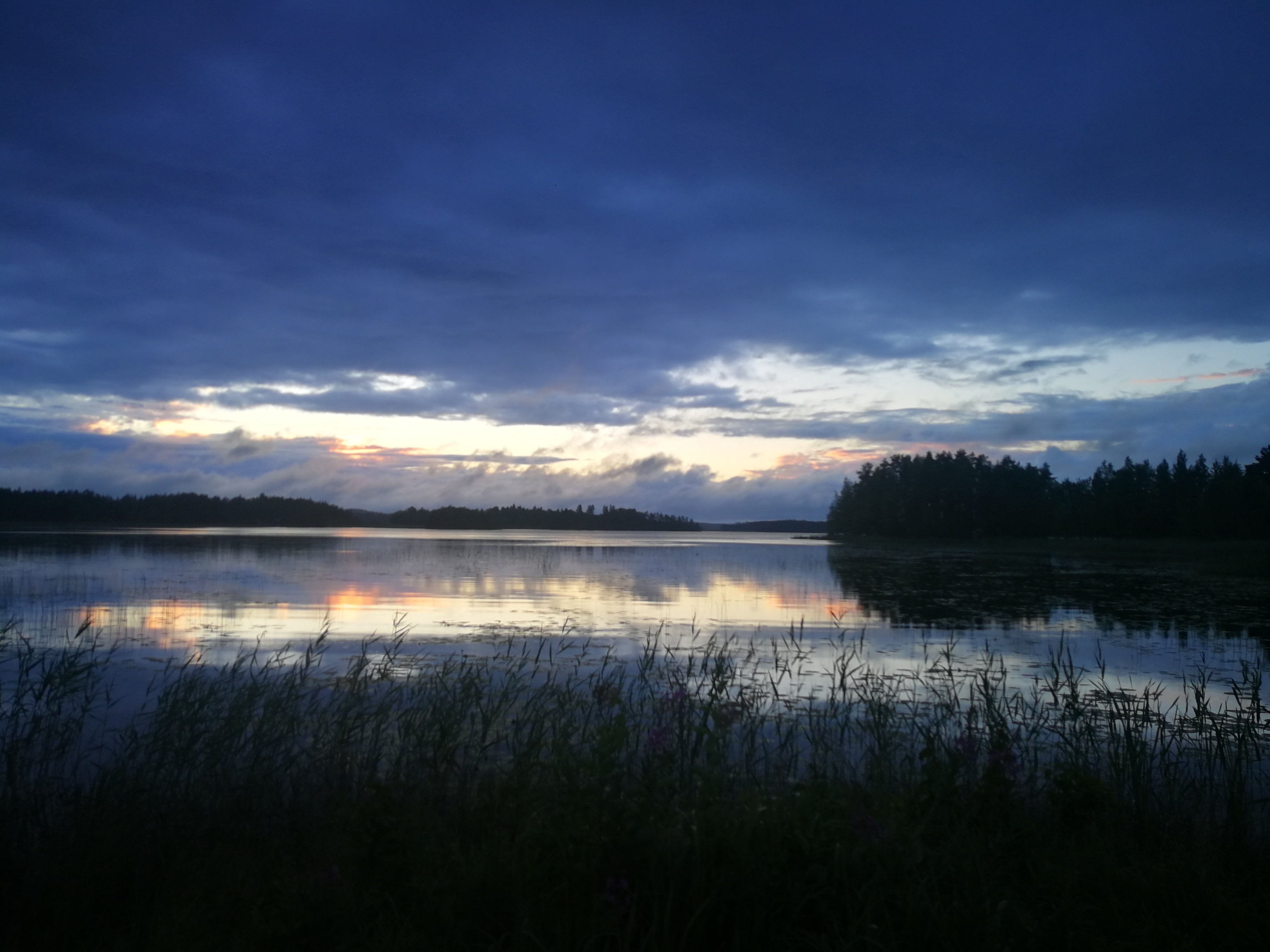 Vapaata lihaa OnlyFans header