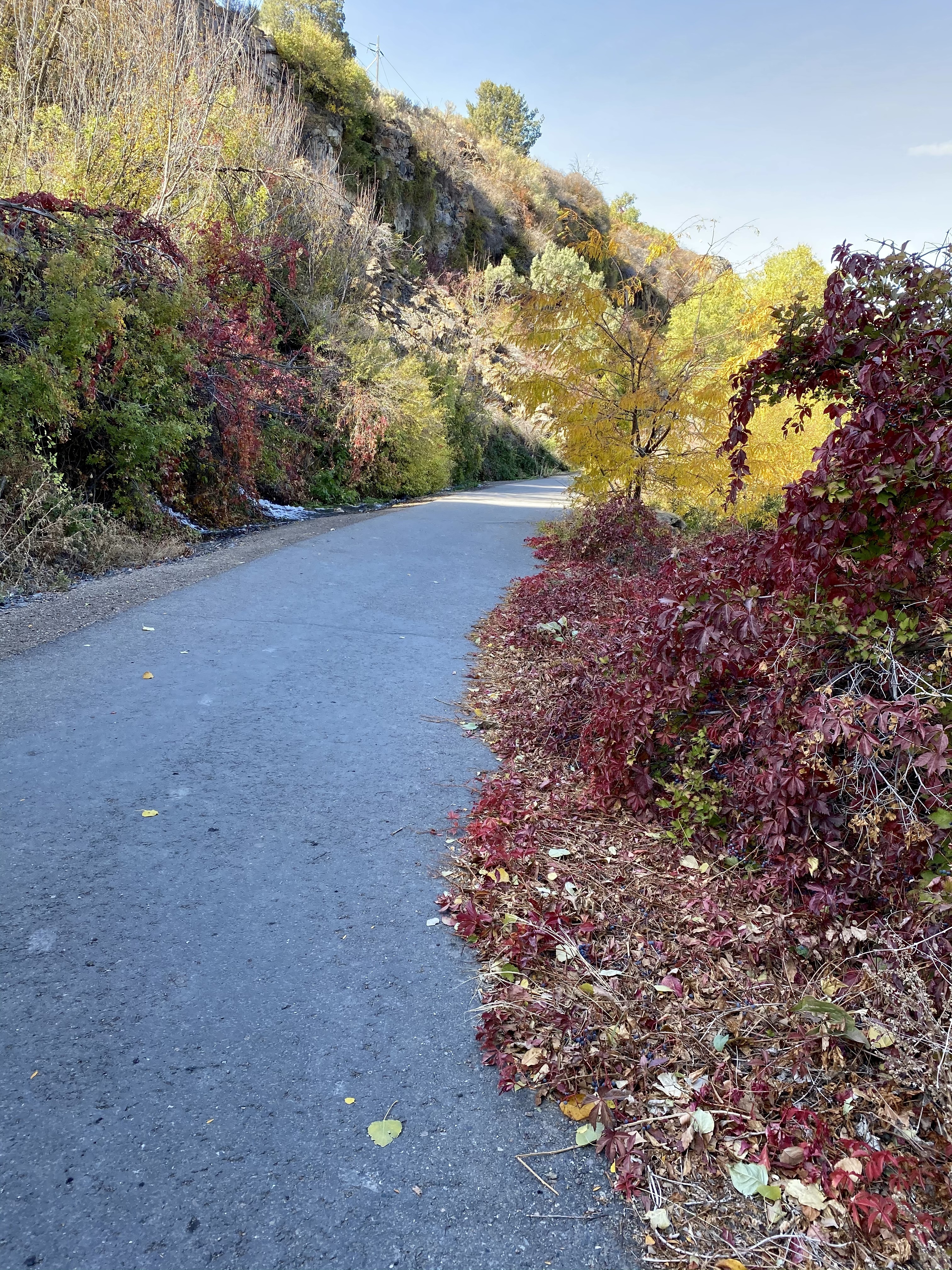 Teighlor OnlyFans header