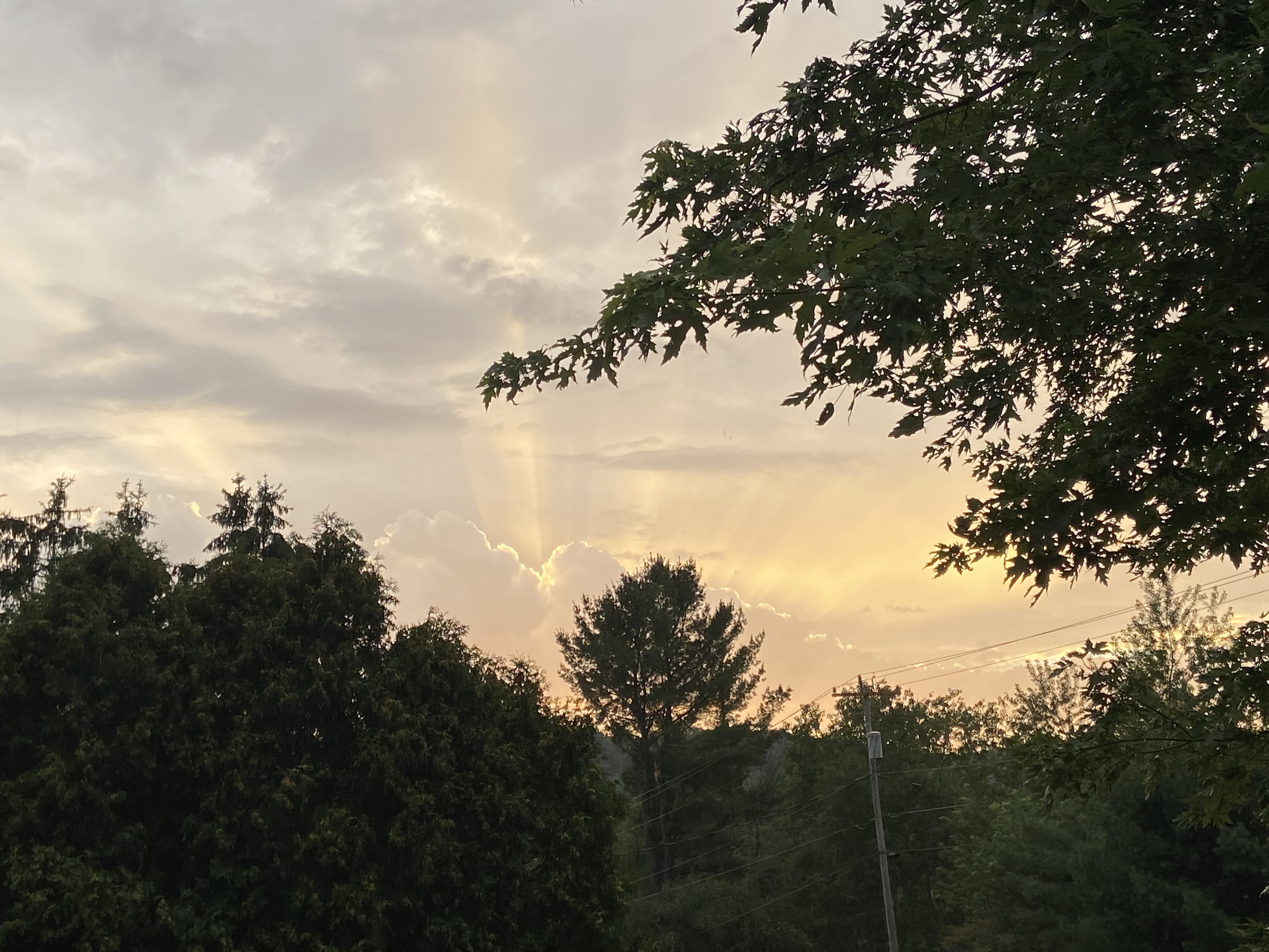 VaraSky OnlyFans header