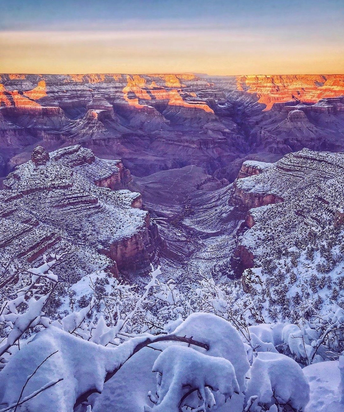 Variety OnlyFans header