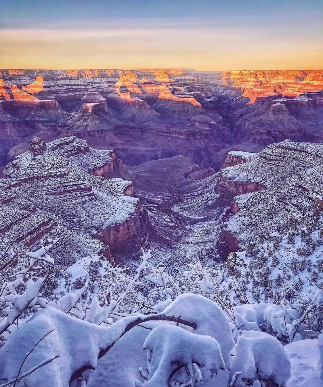 Variety OnlyFans header