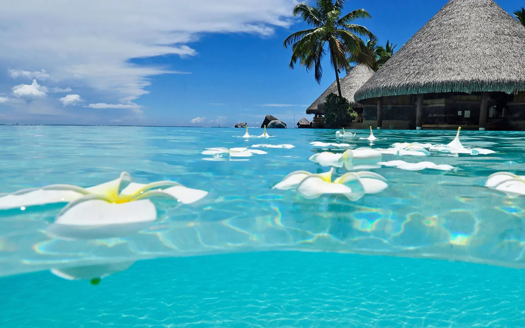 Varyard OnlyFans header