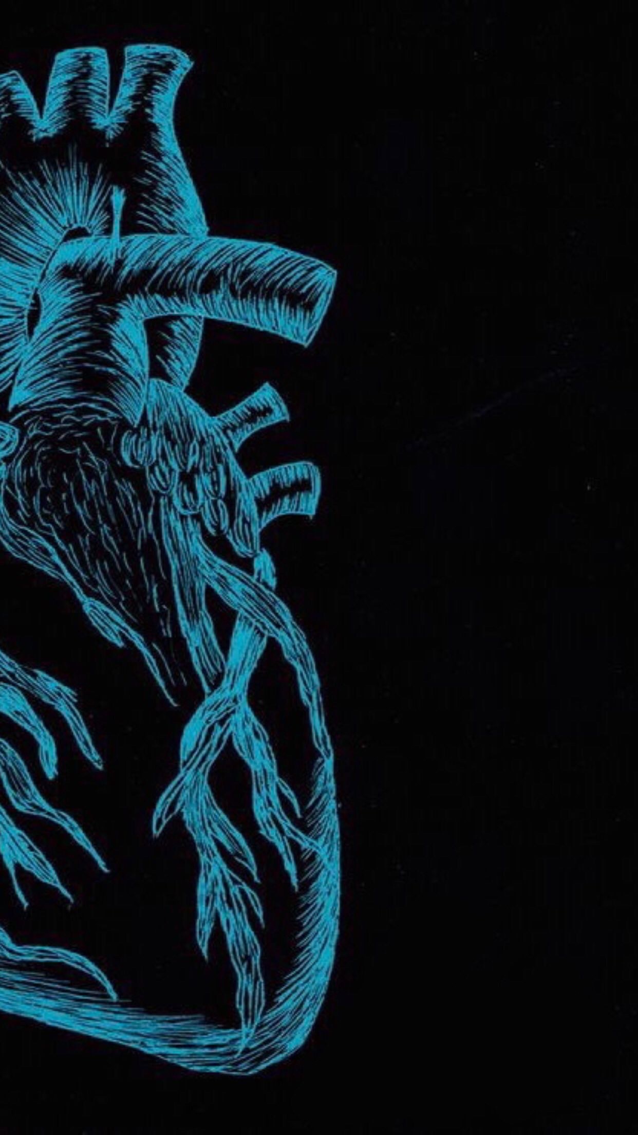 Václav OnlyFans header