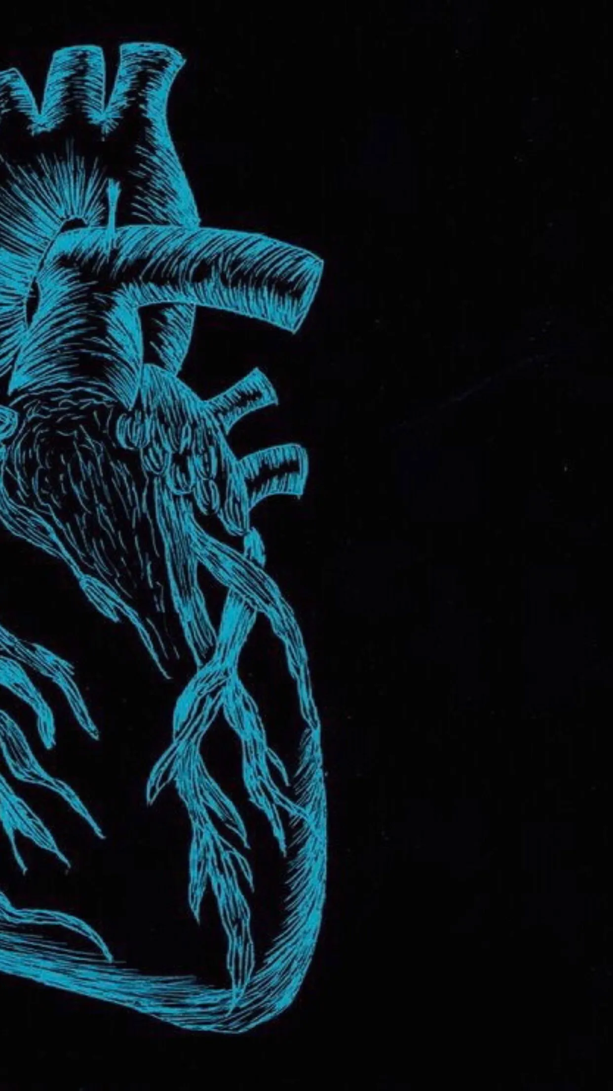 Václav OnlyFans header