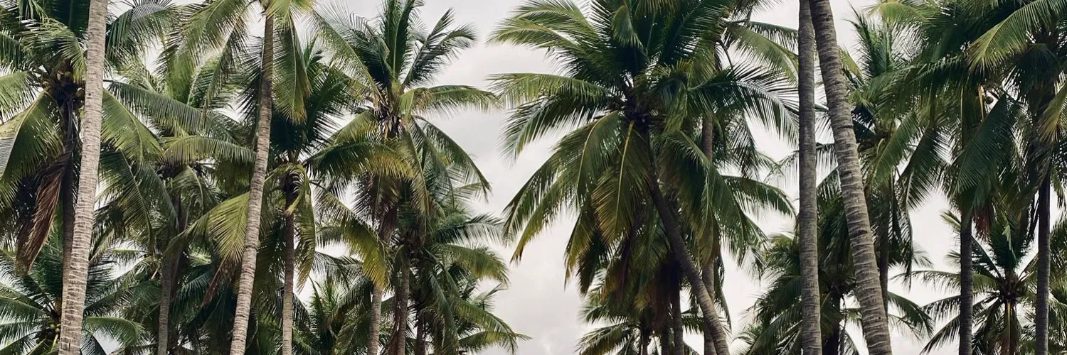 Luna OnlyFans header