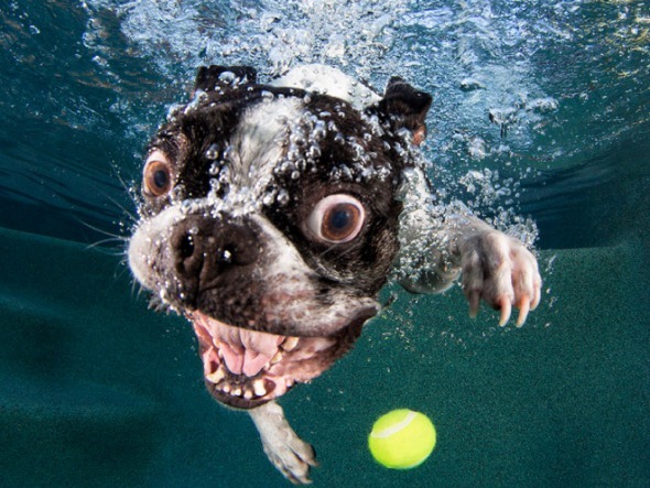 Vasil Ya OnlyFans header