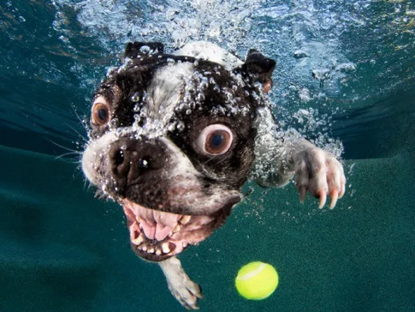 Vasil Ya OnlyFans header