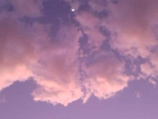 Vasy OnlyFans header