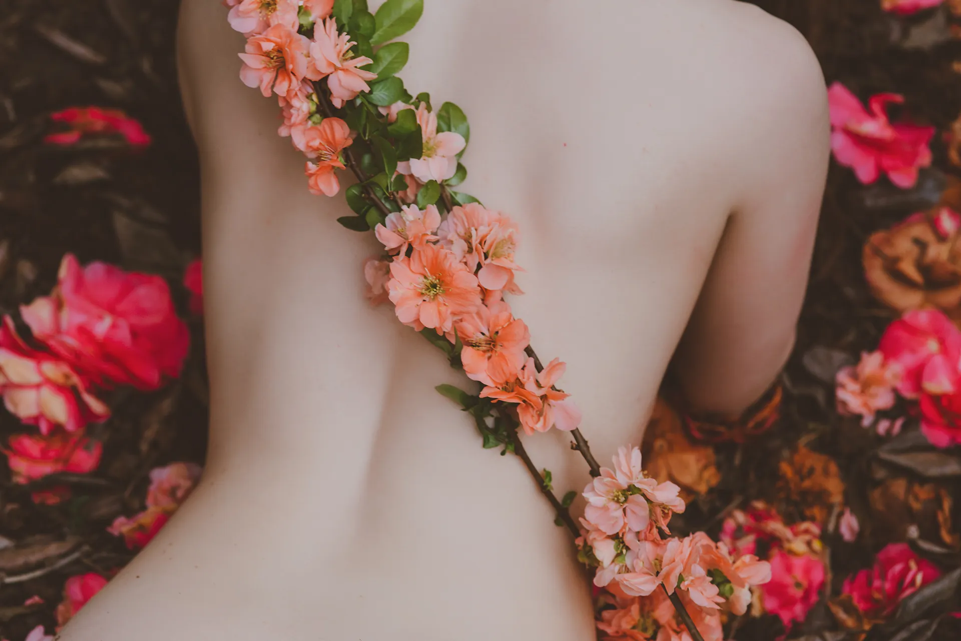 Nicole Vaunt | FREE OnlyFans header