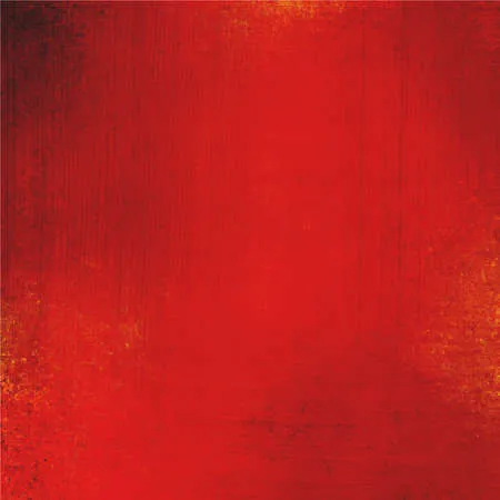 VeleBelen OnlyFans header