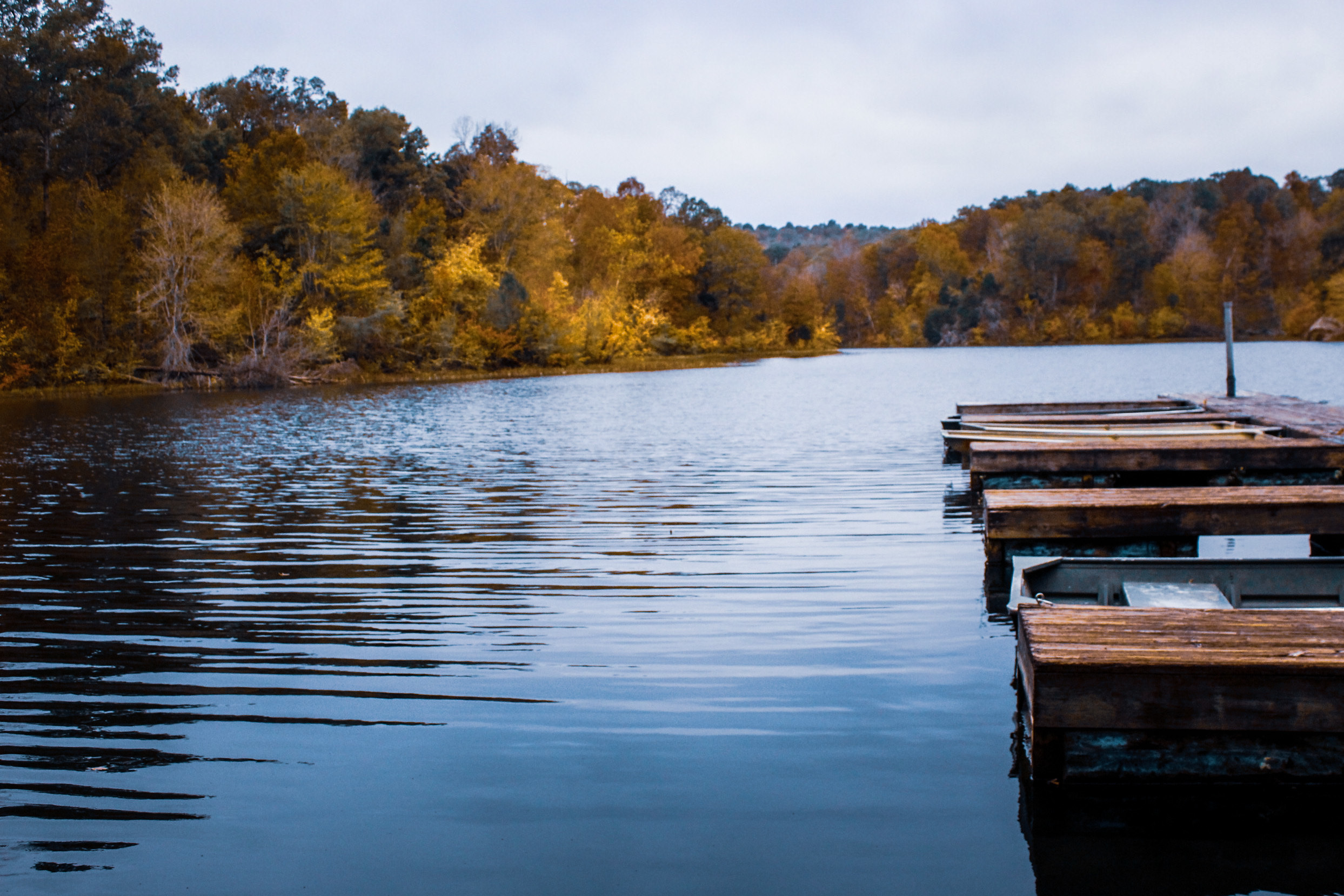 Vccv OnlyFans header