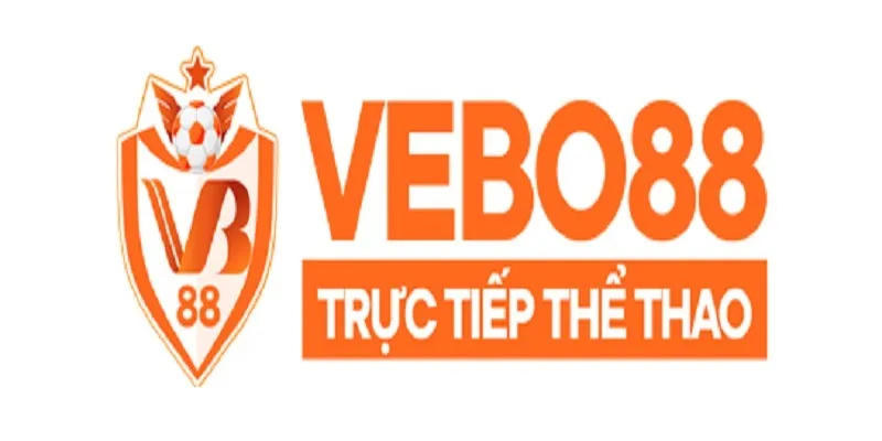 VEBO Run OnlyFans header