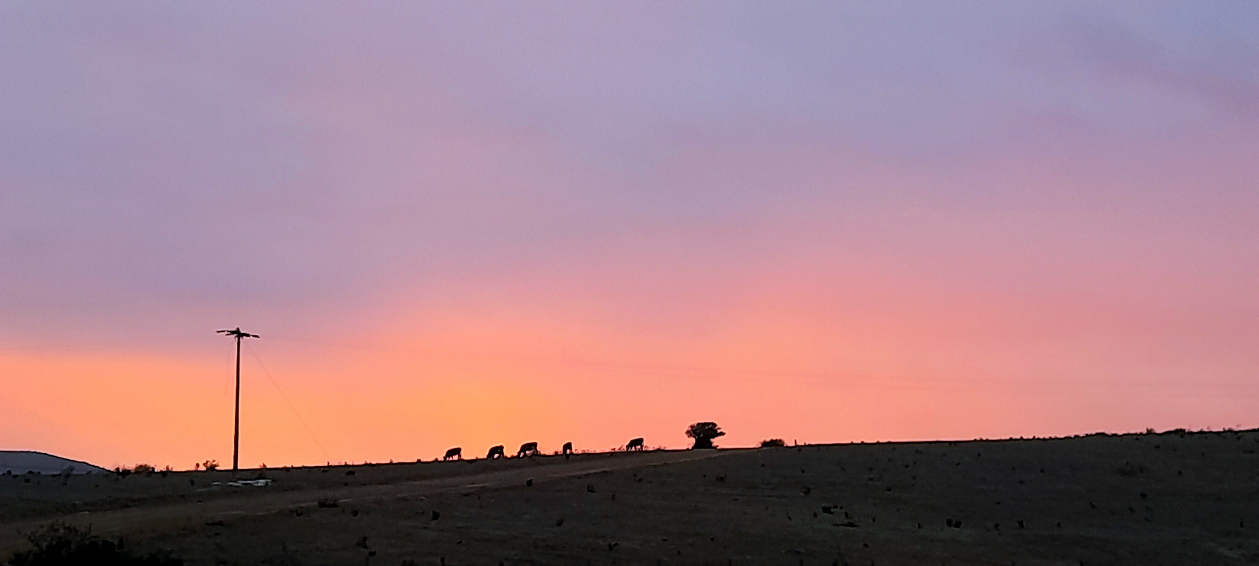 Vecino Chileno OnlyFans header