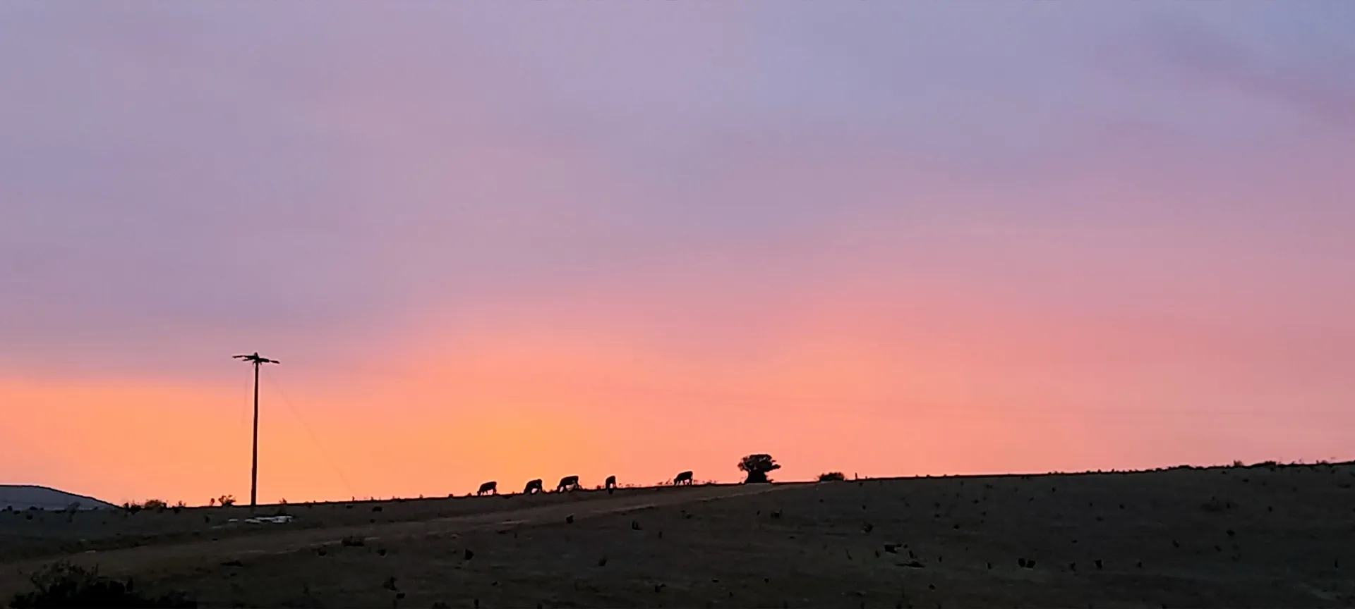 Vecino Chileno OnlyFans header