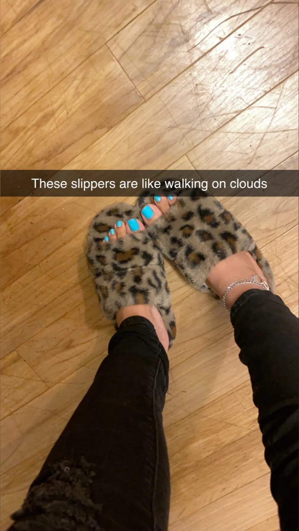 Veenicole OnlyFans header