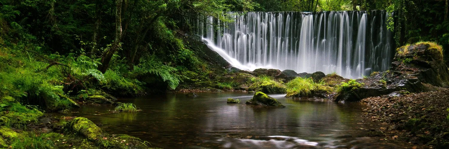 VeeVee Vixen OnlyFans header