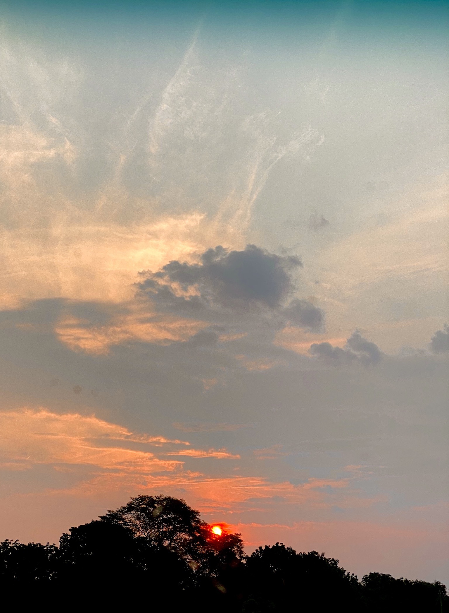 Vegancock OnlyFans header