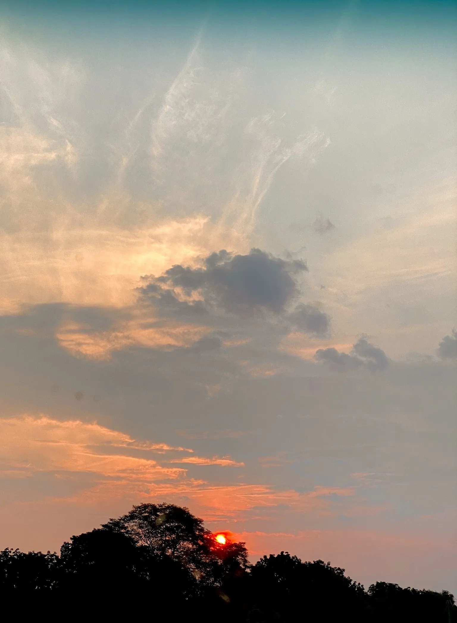 Vegancock OnlyFans header