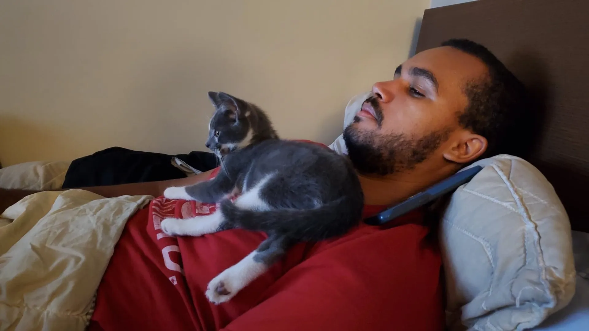 Vegan Gains OnlyFans header