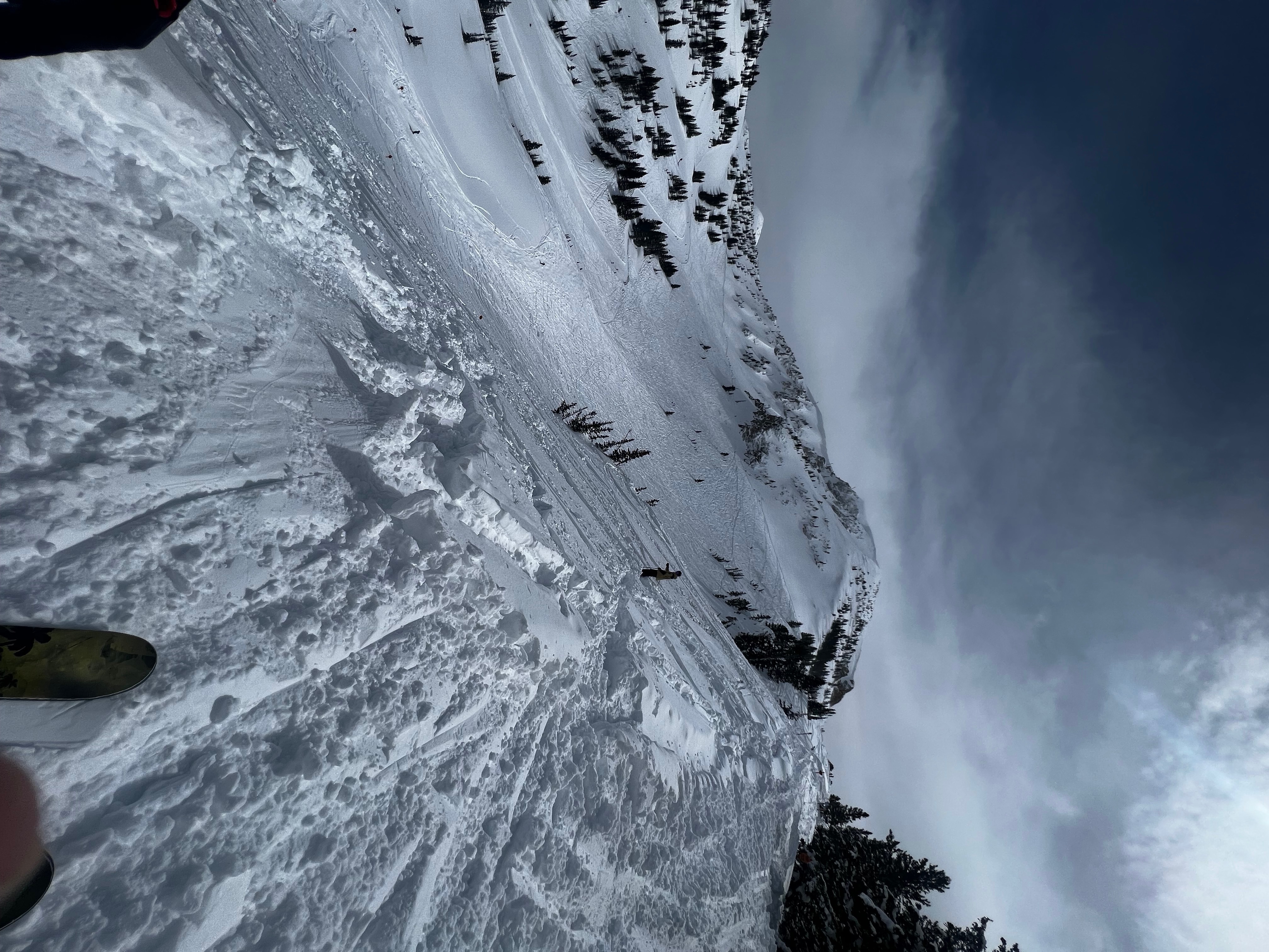 VEGANMONSTER🌱 OnlyFans header