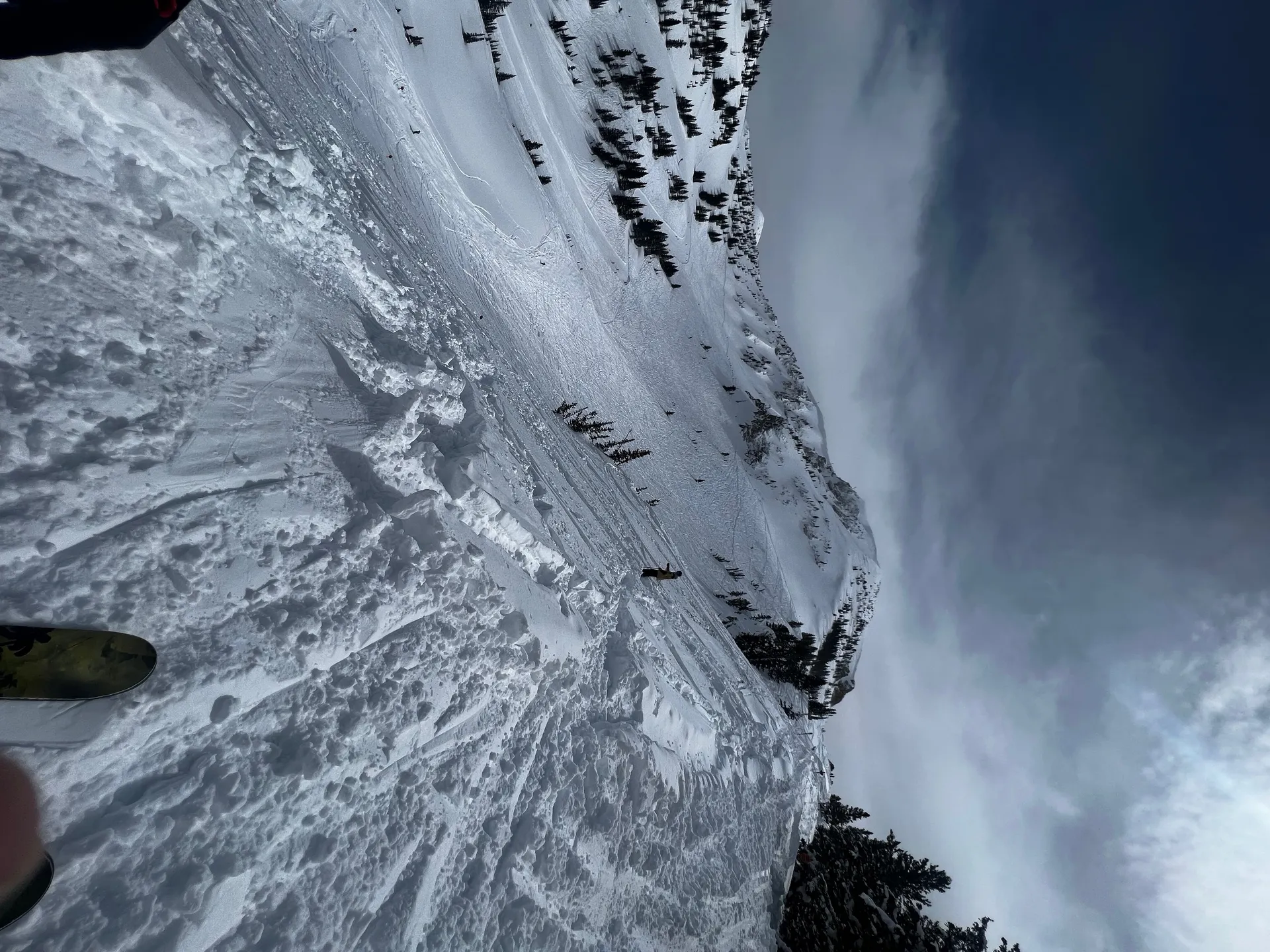 VEGANMONSTER🌱 OnlyFans header